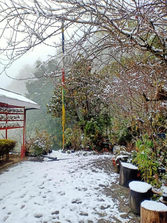Hermit Retreat ดาร์จีลิง ภายนอก รูปภาพ