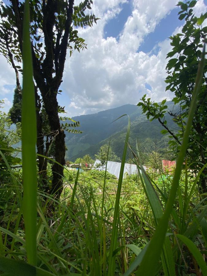 Hermit Retreat ดาร์จีลิง ภายนอก รูปภาพ